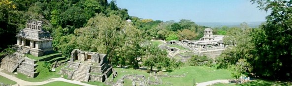 53718337_336715983614045_8441964503272259584_n