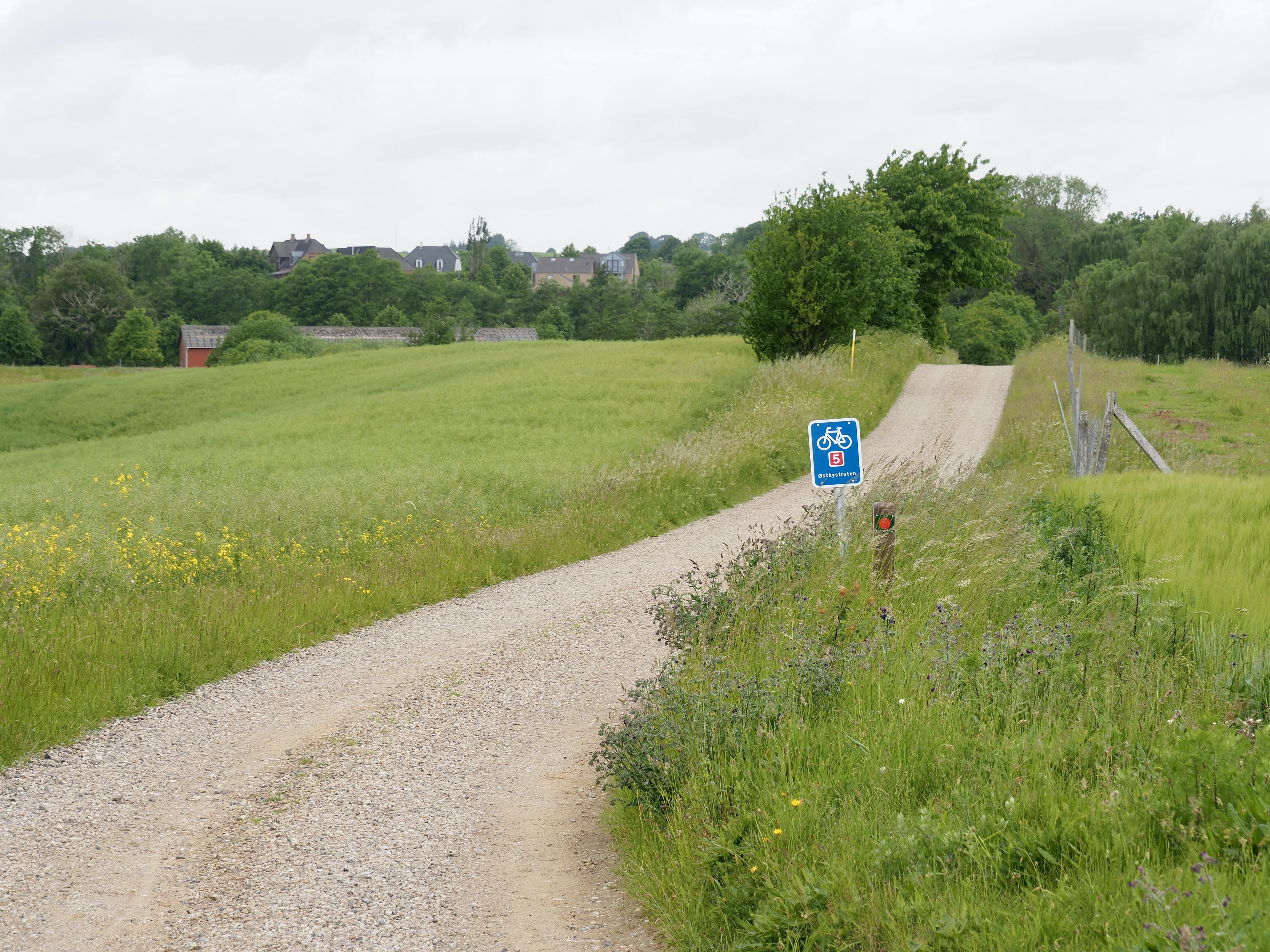 La route 5 le long de la côte est