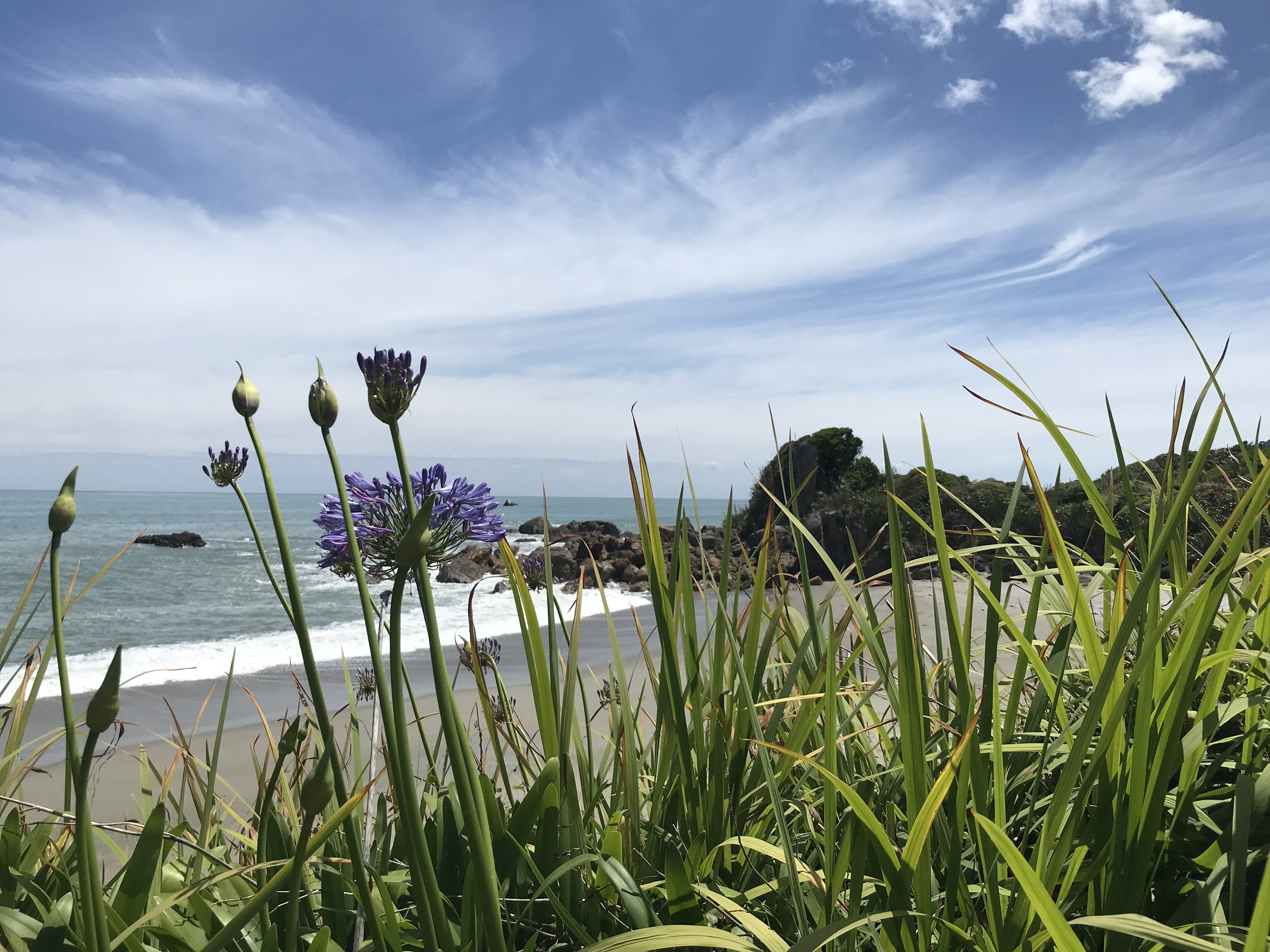 FA8925BD-2E54-4DFE-B8AB-EF9664771DB3